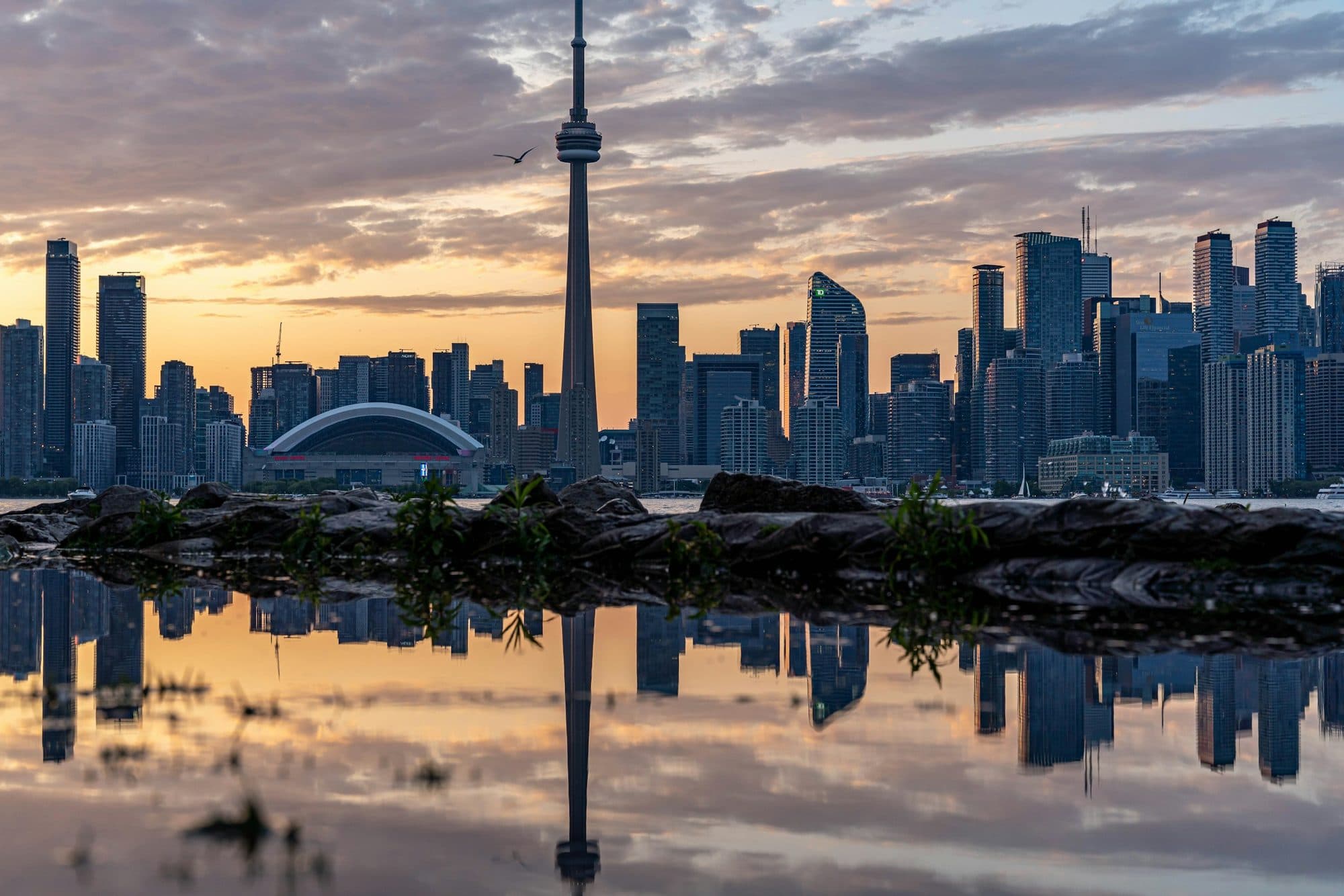 Skyline de Toronto con la CN Tower reflejada en el agua al atardecer